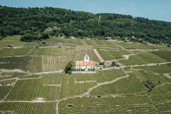 DJI_0895