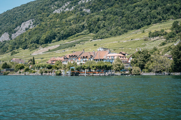 _STE6858